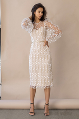 Embroidered Sheer Fitted Dress