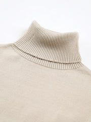 Minimalism Turtleneck Short Sweater Dress