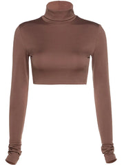 Estrella Turtleneck Crop Top