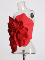 Elegant Applique Tops