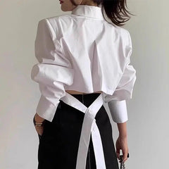 Long Sleeve Classic Shirts