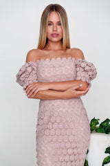 Stylish lace elegant dress
