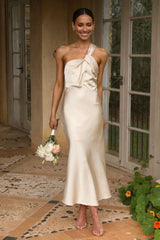 Elegant Silk Gown Long Dress