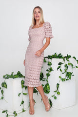 Stylish lace elegant dress