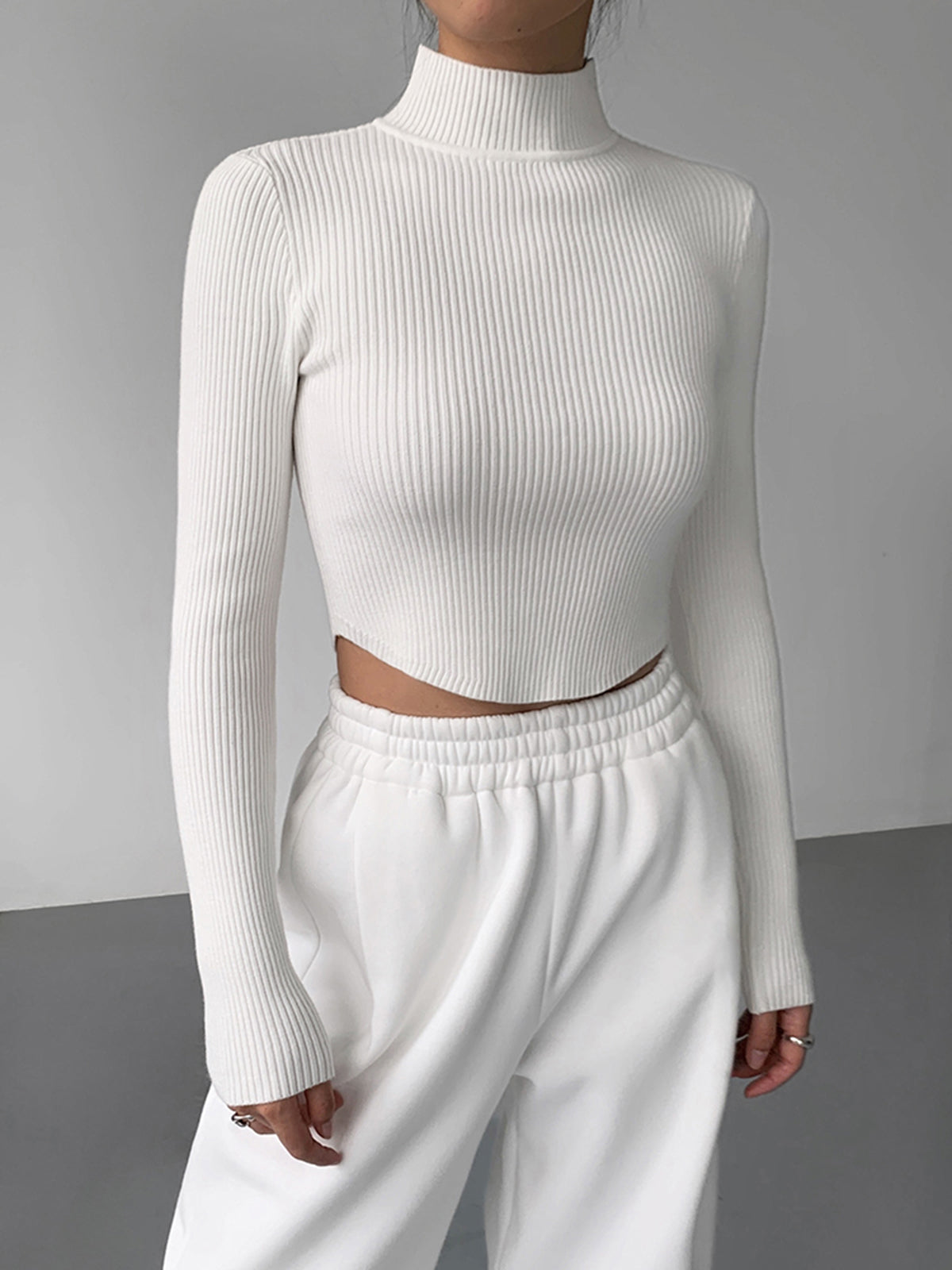 Knit Rib Long Sleeve Mock Neck Crop Top