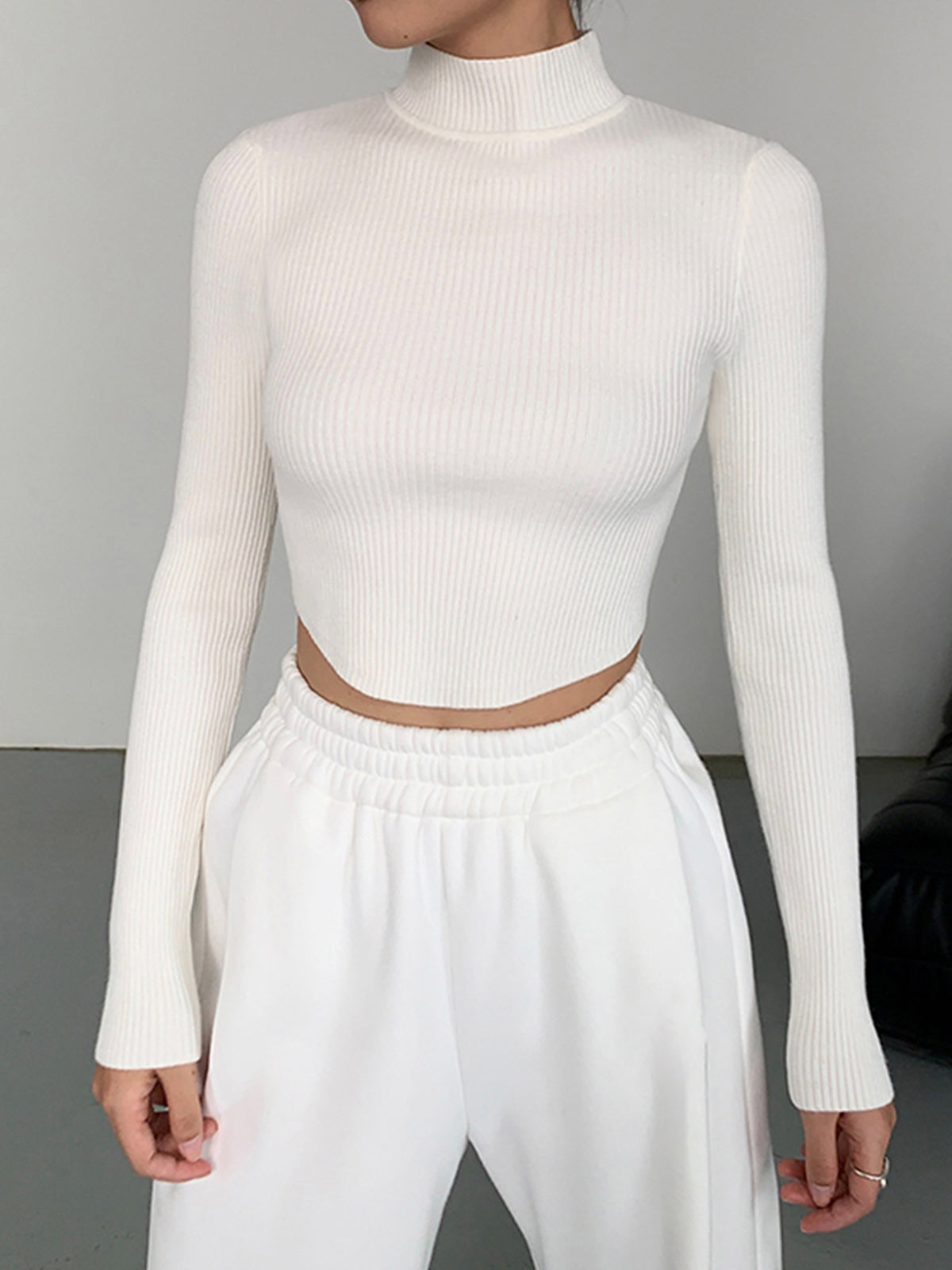 Knit Rib Long Sleeve Mock Neck Crop Top