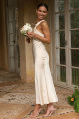Elegant Silk Gown Long Dress