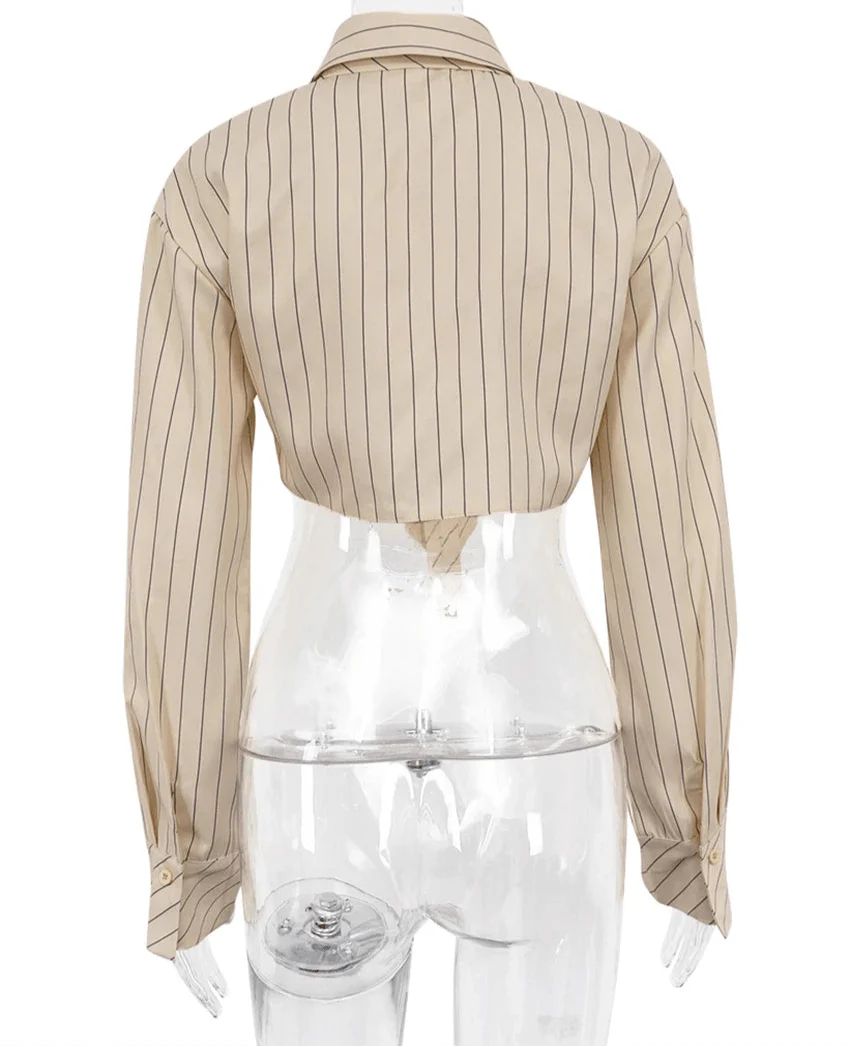 Striped Tie Crop Blouse with Turn-down Collar