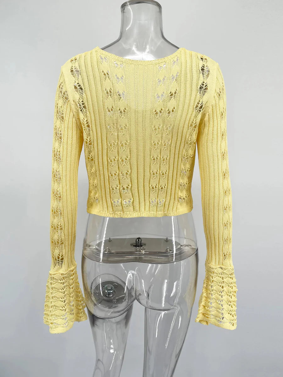 V-Neck Sheer Knit Crop Top